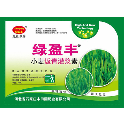 小麦返青灌浆素