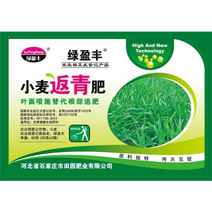 小麦返青肥